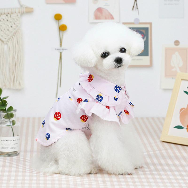 Spring Fling Pet Apparel