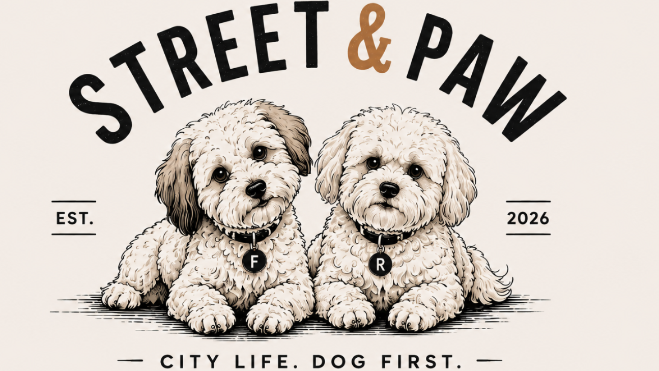 Street & Paw