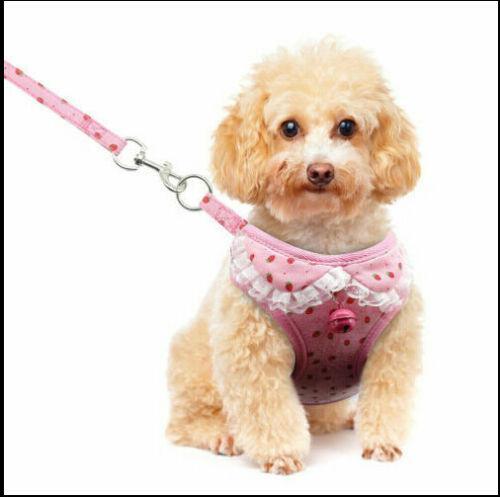 Comfortable Bow Tie Striped Dog Leash With Bells - Available In Multiple Colors And Sizes