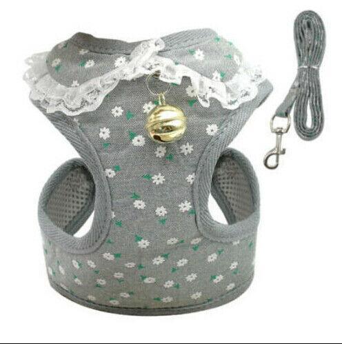Comfortable Bow Tie Striped Dog Leash With Bells - Available In Multiple Colors And Sizes